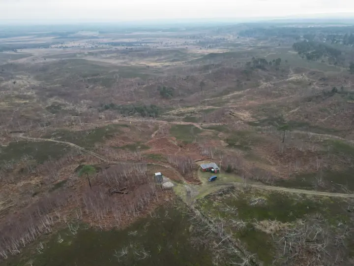 Chobham Ridge Ranges Chobham Ridge Member Day